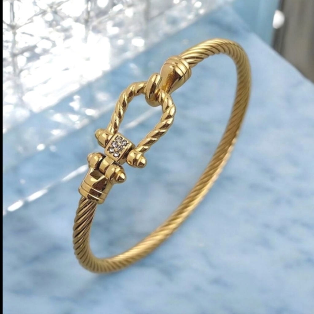 Gold Plated Stainless Steel Twisted Cable Crystal Horsebit Bangle Bracelet 45$